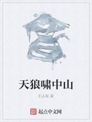 Bìa truyện Thiên Lang Khiếu Trung Sơn (天狼啸中山)