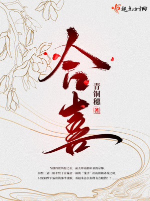 Bìa truyện Hợp Hỉ (合喜)