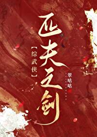 Bìa truyện Tống Vũ Hiệp Thất Phu Chi Kiếm ([综武侠]匹夫之剑)