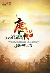 Bìa truyện Đường Thuyền Minh Mạt Hải Nội Ngoại Đích Na Ta Sự (唐船——明末海内外的那些事)