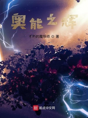 Bìa truyện Áo Năng Chi Huy (奥能之辉)