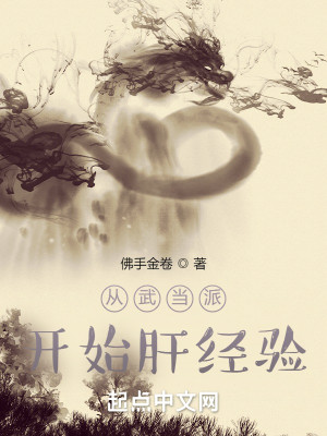 Bìa truyện Tòng Vũ Đương Phái Khai Thủy Can Kinh Nghiệm (从武当派开始肝经验)