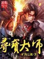 Bìa truyện Tầm Bảo Đại Sư (寻宝大师)