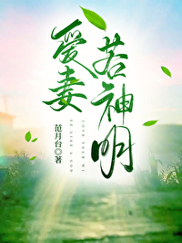Bìa truyện Ái Thê Nhược Thần Minh (爱妻若神明)