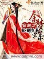 Bìa truyện Xuyên Việt Chi Tần Mộng Điệp (穿越之秦梦蝶)