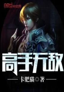 Bìa truyện Cao Thủ Vô Địch (高手无敌)