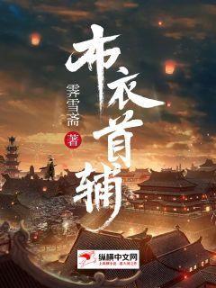 Bìa truyện Bố Y Thủ Phụ (布衣首辅)