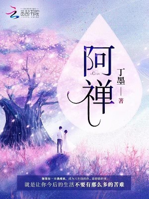 Bìa truyện A Thiện (阿禅)