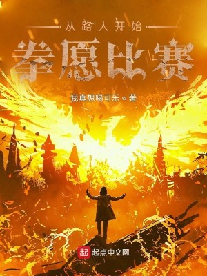 Bìa truyện Tòng Lộ Nhân Khai Thủy Quyền Nguyện Bỉ Tái (从路人开始拳愿比赛)