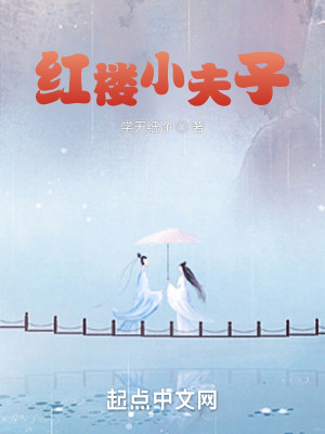 Bìa truyện Hồng Lâu Tiểu Phu Tử (红楼小夫子)