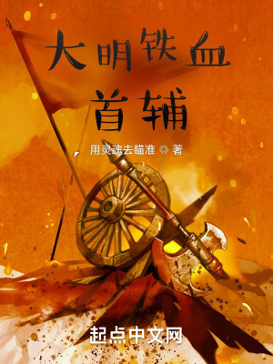 Bìa truyện Đại Minh Thiết Huyết Thủ Phụ (大明铁血首辅)