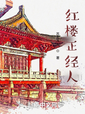 Bìa truyện Hồng Lâu Chính Kinh Nhân (红楼正经人)