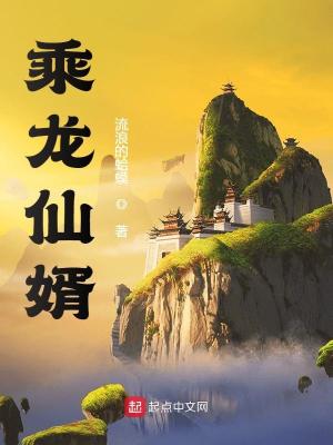 Bìa truyện Thừa Long Tiên Tế (乘龙仙婿)