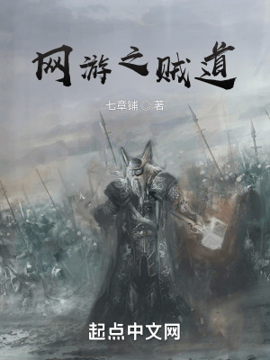 Bìa truyện Võng Du Chi Tặc Đạo (网游之贼道)