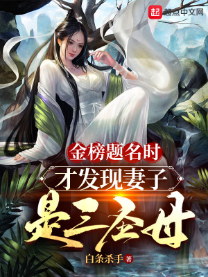 Bìa truyện Kim Bảng Đề Danh Thời Tài Phát Hiện Thê Tử Thị Tam Thánh Mẫu (金榜题名时，才发现妻子是三圣母)
