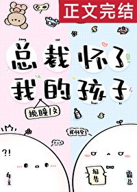 Bìa truyện Tổng Tài Hoài Liễu Ngã Đích Hài Tử (总裁怀了我的孩子)
