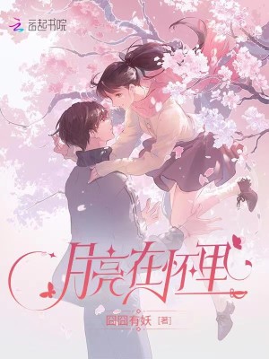 Bìa truyện Nguyệt Lượng Tại Hoài Lí (月亮在怀里)