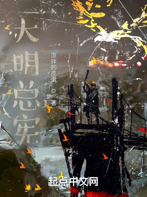 Bìa truyện Đại Minh Tổng Hiến (大明总宪)