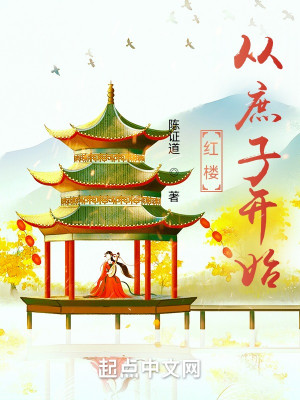 Bìa truyện Hồng Lâu Tòng Thứ Tử Khai Thủy (红楼从庶子开始)