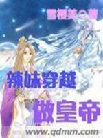 Bìa truyện Lạt Muội Xuyên Việt Tố Hoàng Đế (辣妹穿越做皇帝)
