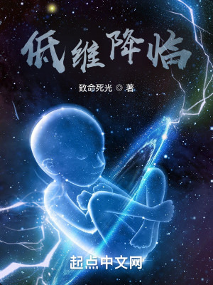 Bìa truyện Đê Duy Giáng Lâm (低维降临)