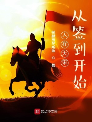 Bìa truyện Nhân Tại Đại Tống Tòng Thiêm Đáo Khai Thủy (人在大宋：从签到开始)