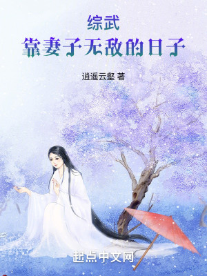 Bìa truyện Tống Vũ Kháo Thê Tử Vô Địch Đích Nhật Tử (综武：靠妻子无敌的日子)
