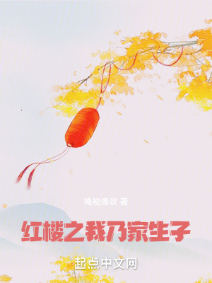 Bìa truyện Hồng Lâu Chi Ngã Nãi Gia Sinh Tử (红楼之我乃家生子)