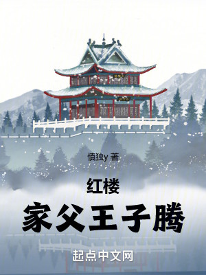 Bìa truyện Hồng Lâu Gia Phụ Vương Tử Đằng (红楼：家父王子腾)