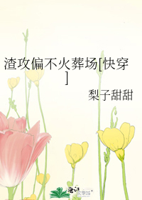 Bìa truyện Tra Công Thiên Bất Hỏa Táng Trường Khoái Xuyên (渣攻偏不火葬场[快穿])