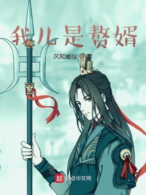 Bìa truyện Ngã Nhân Thị Chuế Tế (我儿是赘婿)