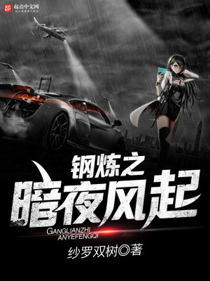 Bìa truyện Cương Luyện Chi Ám Dạ Phong Khởi (钢炼之暗夜风起)