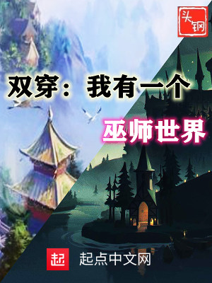 Bìa truyện Song Xuyên Ngã Hữu Nhất Cá Vu Sư Thế Giới (双穿：我有一个巫师世界)