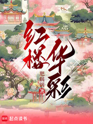 Bìa truyện Hồng Lâu Hoa Thải (红楼华彩)
