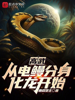 Bìa truyện Cao Vũ Tòng Điện Man Phân Thân Hóa Long Khai Thủy (高武：从电鳗分身化龙开始)