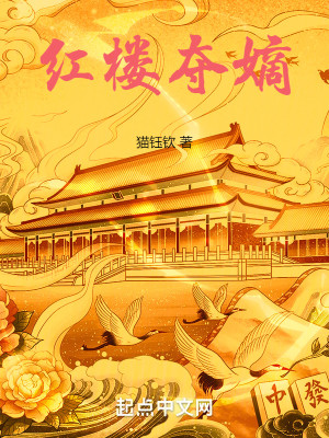 Bìa truyện Hồng Lâu Đoạt Đích (红楼夺嫡)