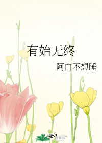 Bìa truyện Hữu Thủy Vô Chung (有始无终)