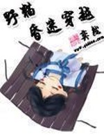 Bìa truyện Dã Miêu Hôn Mê Xuyên Việt (野猫昏迷穿越)