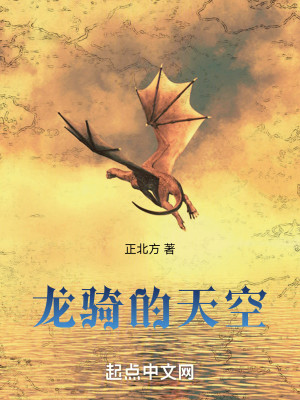 Bìa truyện Long Kỵ Đích Thiên Không (龙骑的天空)