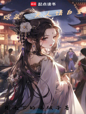 Bìa truyện Tống Vũ Phu Nhân Thỉnh Tự Trọng (综武：夫人请自重)
