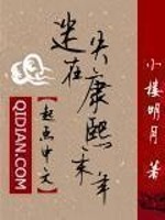 Bìa truyện Mê Thất Tại Khang Hi Mạt Niên (迷失在康熙末年)