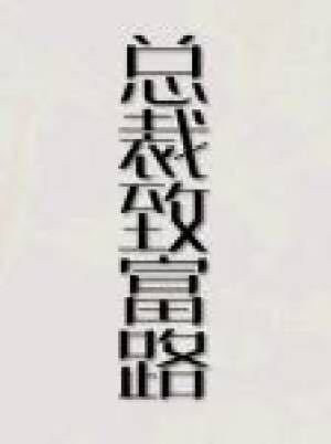 Bìa truyện Tổng Tài Trí Phú Lộ (总裁致富路)
