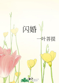 Bìa truyện Thiểm Hôn (闪婚)