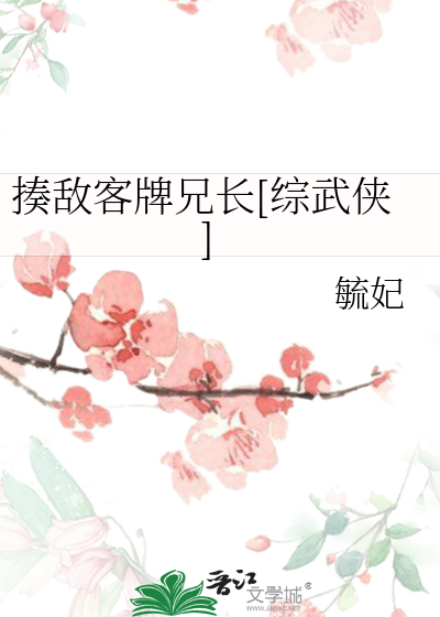 Bìa truyện Tấu Địch Khách Bài Huynh Trường Tống Vũ Hiệp (揍敌客牌兄长[综武侠])