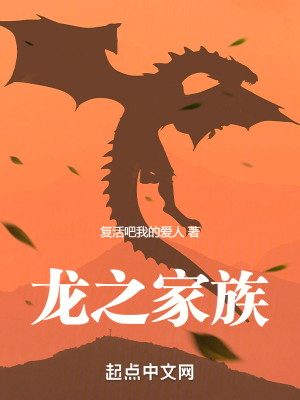 Bìa truyện Long Chi Gia Tộc (龙之家族)
