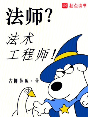 Bìa truyện Pháp Sư Pháp Thuật Công Trình Sư (法师？法术工程师！)