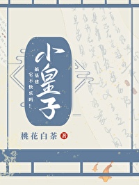Bìa truyện Tiểu Hoàng Tử (小皇子)