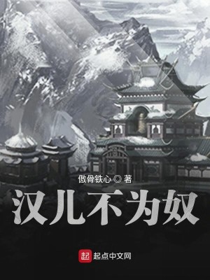 Bìa truyện Hán Nhân Bất Vi Nô (汉儿不为奴)