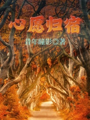 Bìa truyện Tâm Nguyện Quy Túc (心愿归宿)