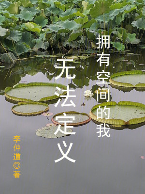 Bìa truyện Ủng Hữu Không Gian Đích Ngã Vô Pháp Định Nghĩa (拥有空间的我，无法定义)